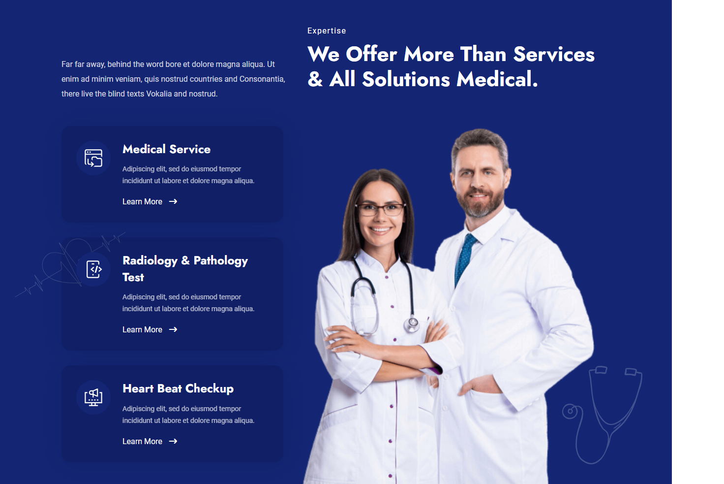 MedVeda Website